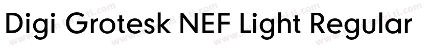 Digi Grotesk NEF Light Regular字体转换